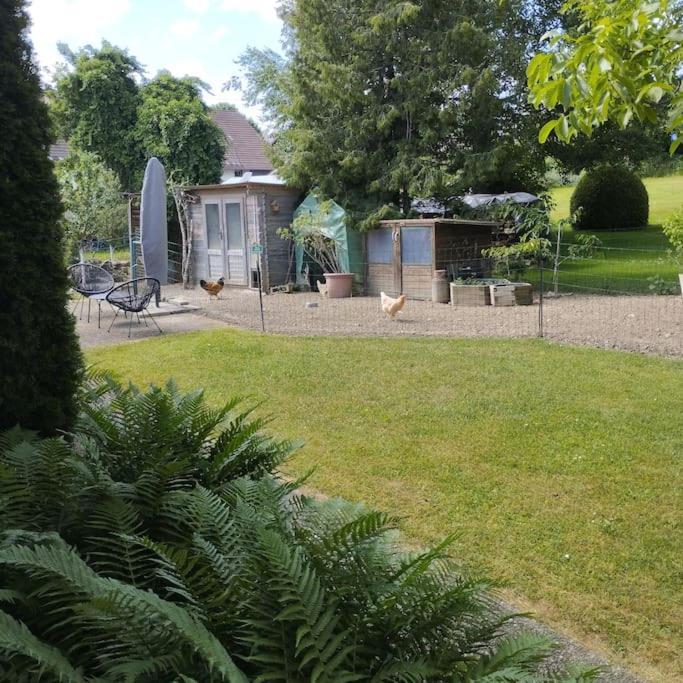 Ferienwohnung zur dicken Berta Wolfegg Exterior foto